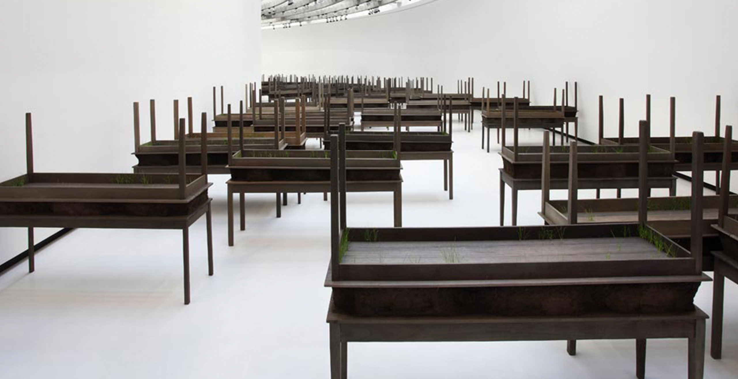 Doris Salcedo