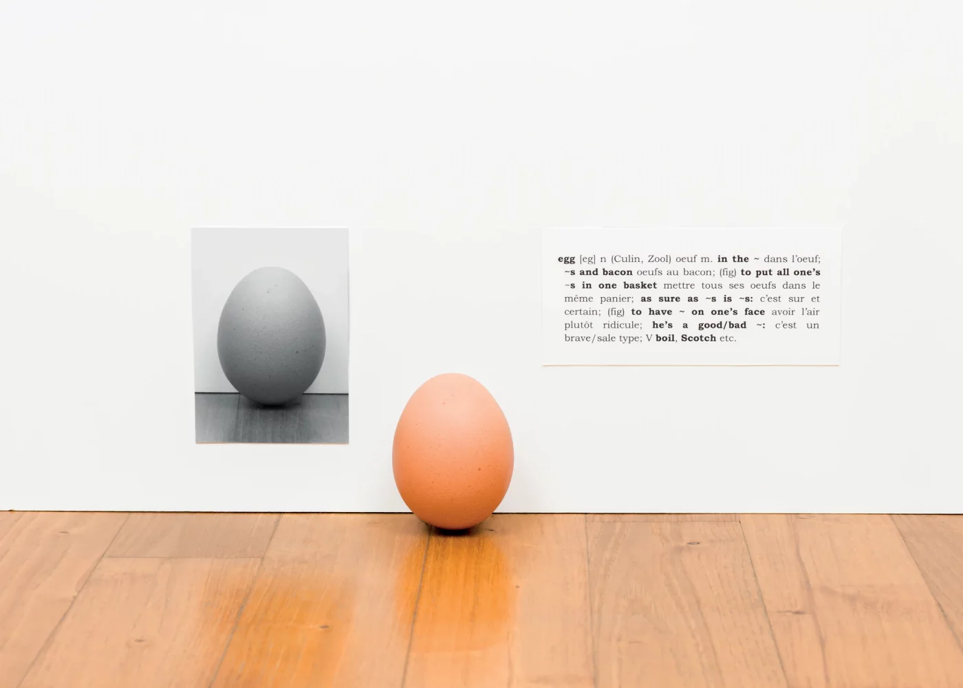 Amaral & Barthes. <i>For Joseph Kosuth</i>, from <i>If you please… Draw me an egg!</i> series, 2019. Courtesy of the artists.