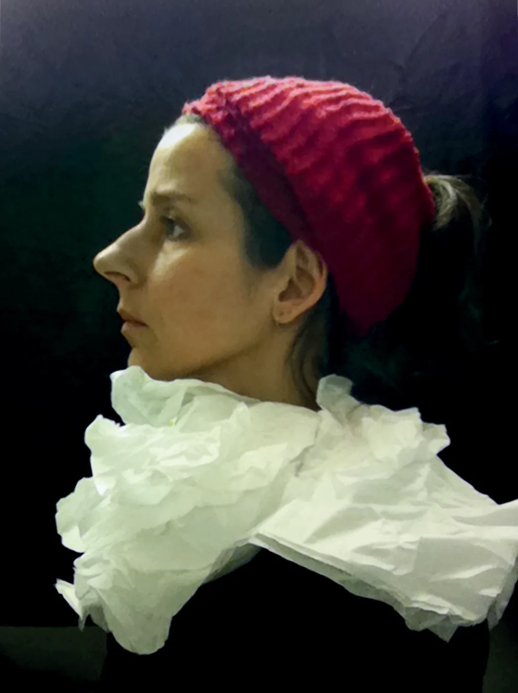 Nina Katchadourian. <em>Lavatory Self-Portrait in the Flemish Style #5</em>, from <em>Seat Assignment</em> project, 2011. Courtesy of the artist, Catharine Clark Gallery and Pace Gallery.