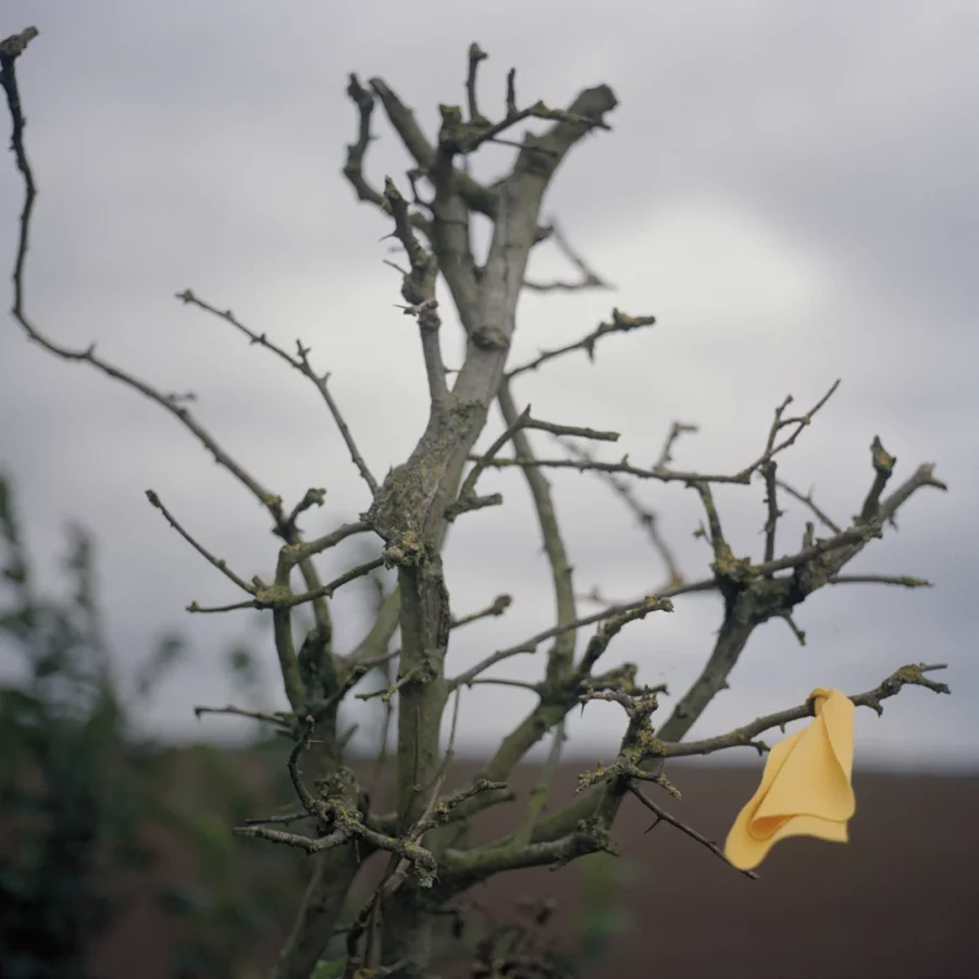 Rhiannon Adam. <em>Yellow fabric from the gate tapestry tied to a branch outside of Gate Camp on Preston New Road</em>, from <em>The Rift – Fracking in the UK</em> series, 2018. Courtesy of the artist and The British Journal of Photograph