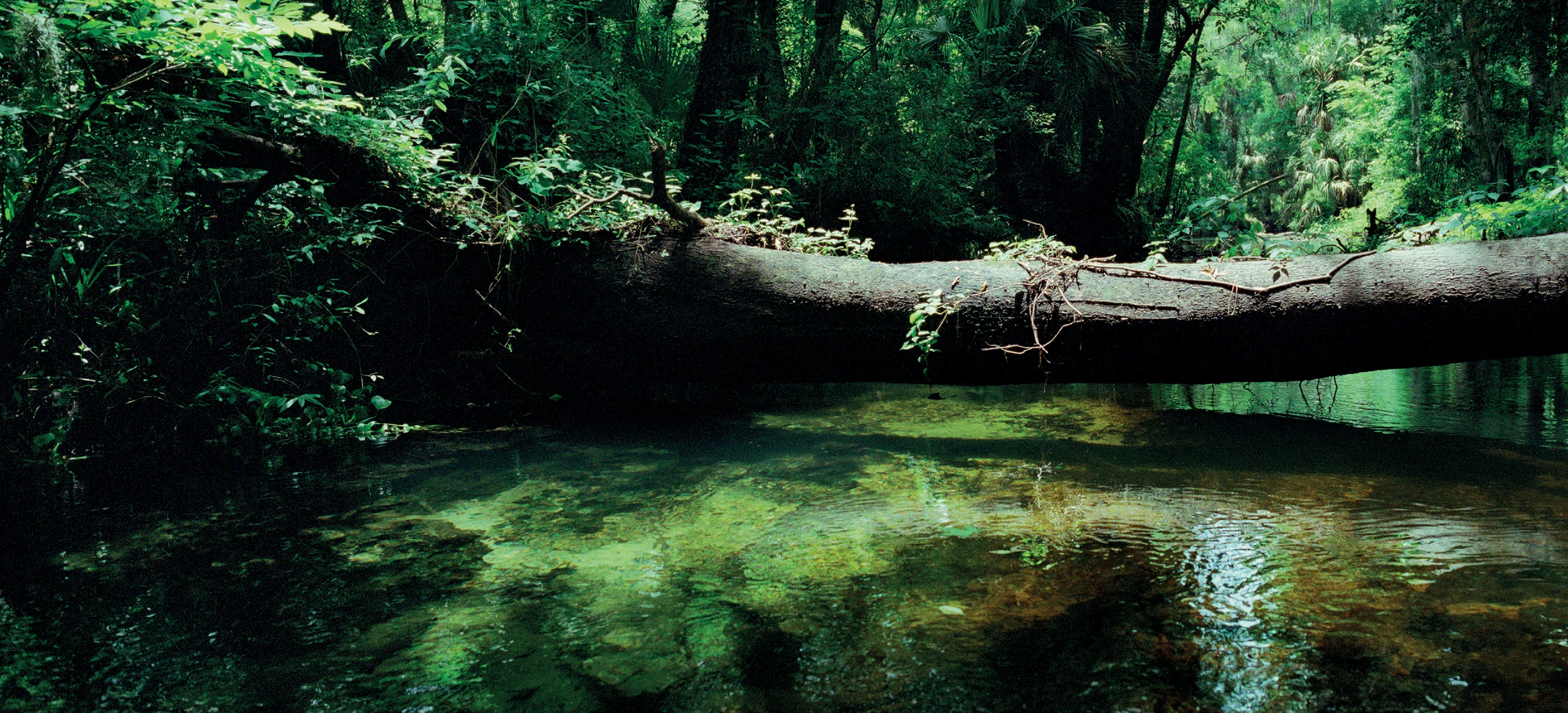 Fotografía de río por Karen Glaser