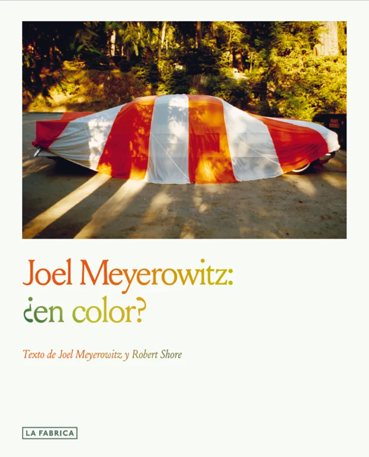 <strong>Joel Meyerowitz: ¿En color?</strong>