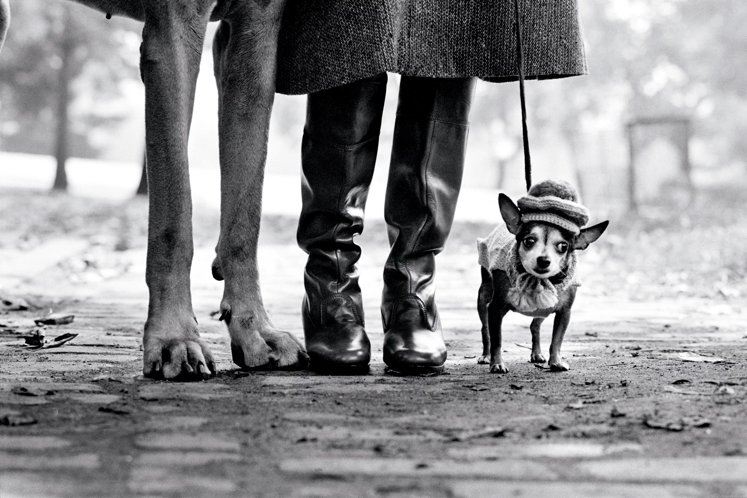 Elliot Erwitt. Untitled, USA. New York, New York, 1974. Courtesy of the artist and Magnum Photos.