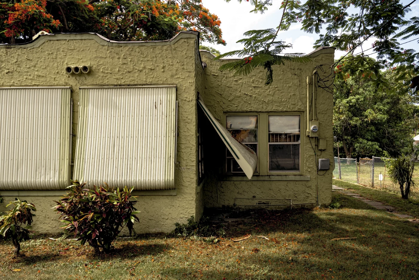 Clara Toro. <em>El patio de mi abuela</em>, 2023. Courtesy of the artist.