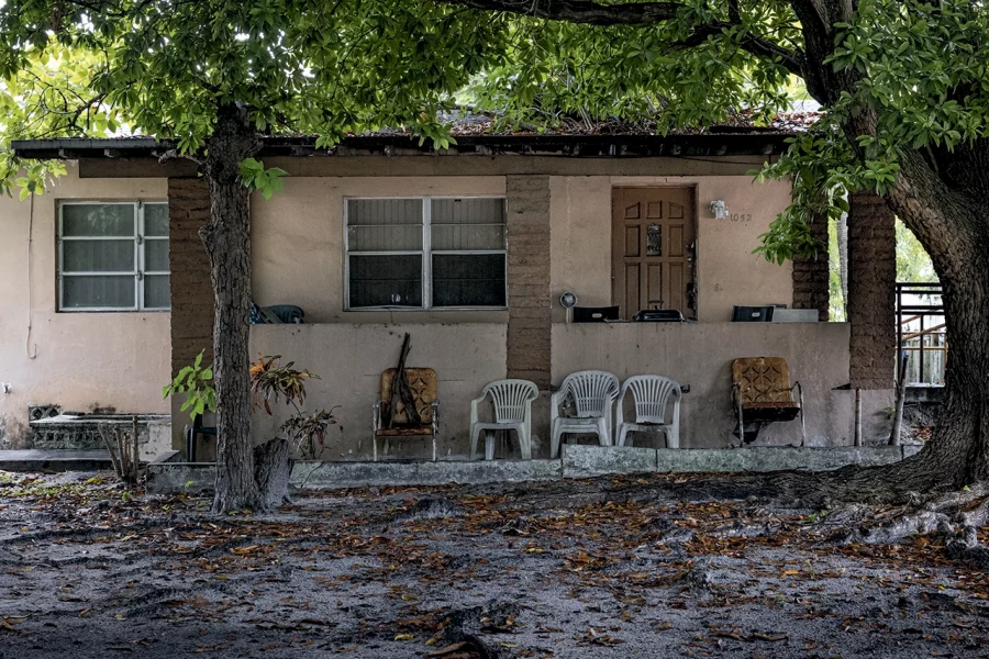 Clara Toro. <em>El patio de mi abuela</em>, 2023. Courtesy of the artist.