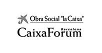 La Caixa, Fundación